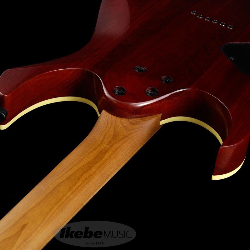 Ibanez RG421HPAM-ABL（新品）【楽器検索デジマート】