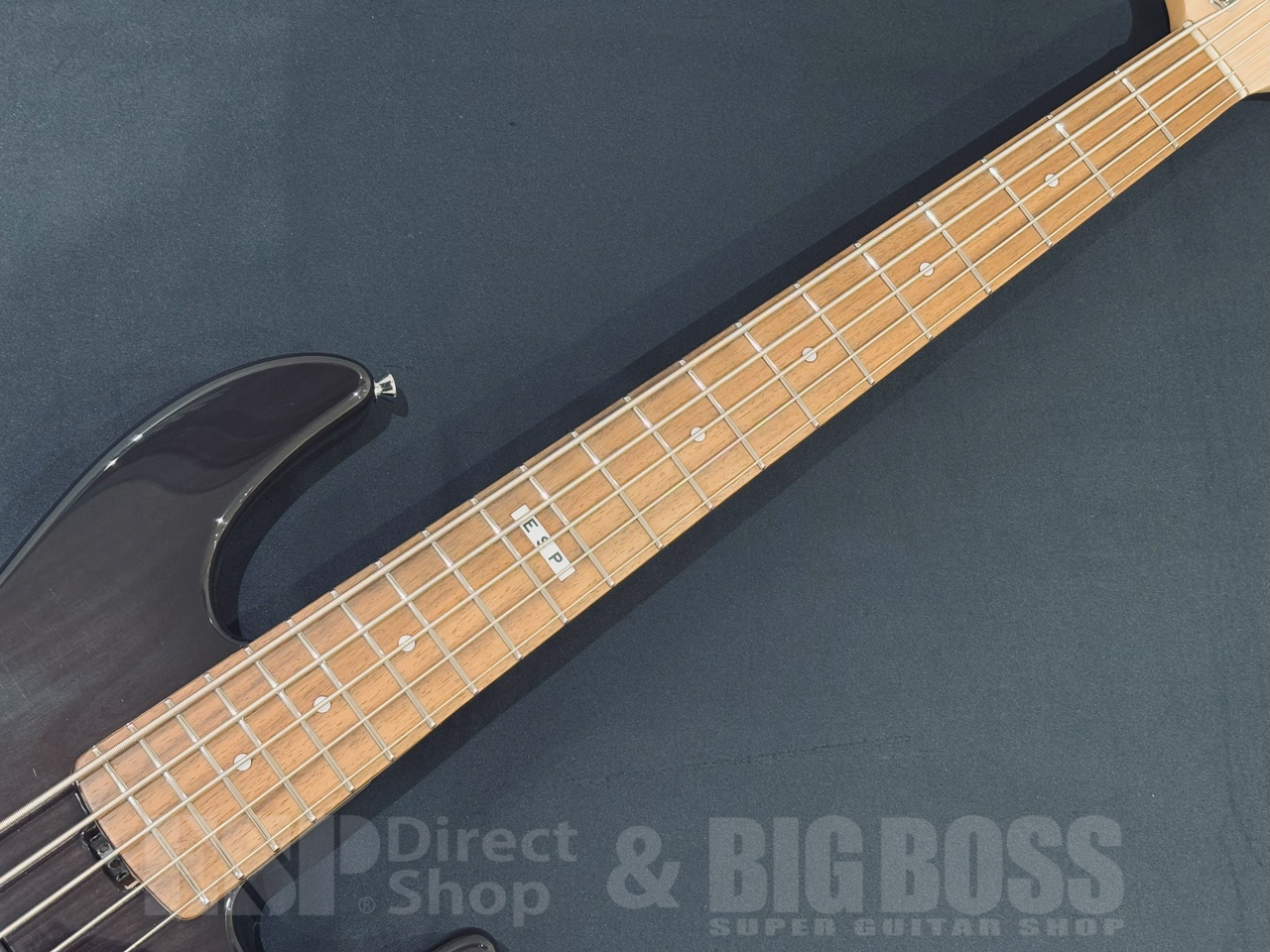 E-II AP-5 See Thru Black（新品/送料無料）【楽器検索デジマート】