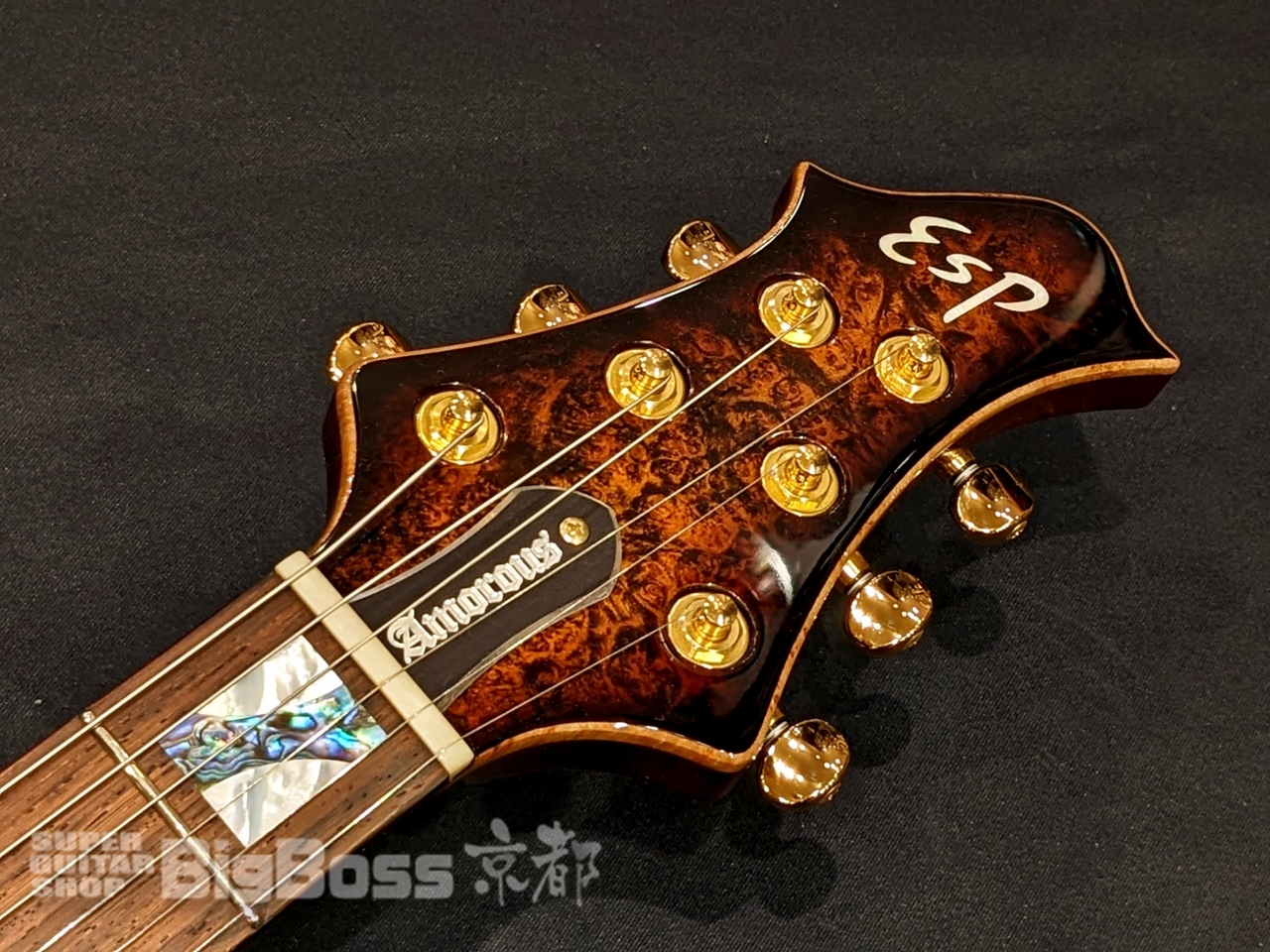ESP MYSTIQUE-CTM NT Burled Maple(新品/送料無料)【楽器検索 ESP MYSTIQUE-CTM NT Burled Maple(新品/送料無料)【楽器検索