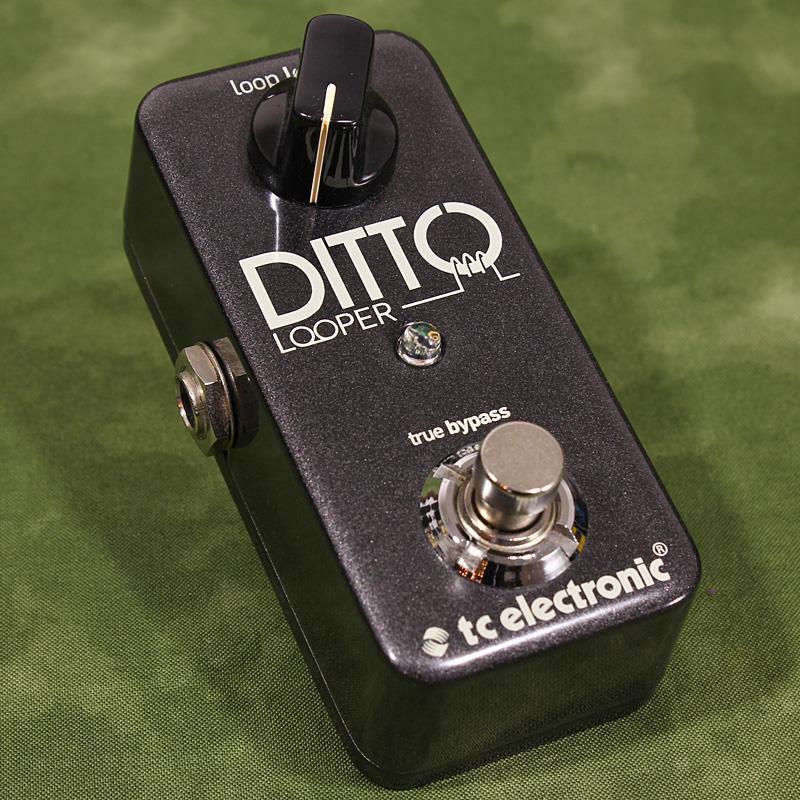 tc electronic DITTO LOOPER 中古品 tc electronic USED 中古 DITTO LOOPER（中古）【楽器検索デジマート】