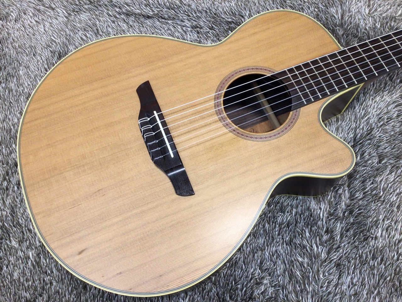 Takamine NPT-110N【USED】【純正ハードケース付き】（中古/送料