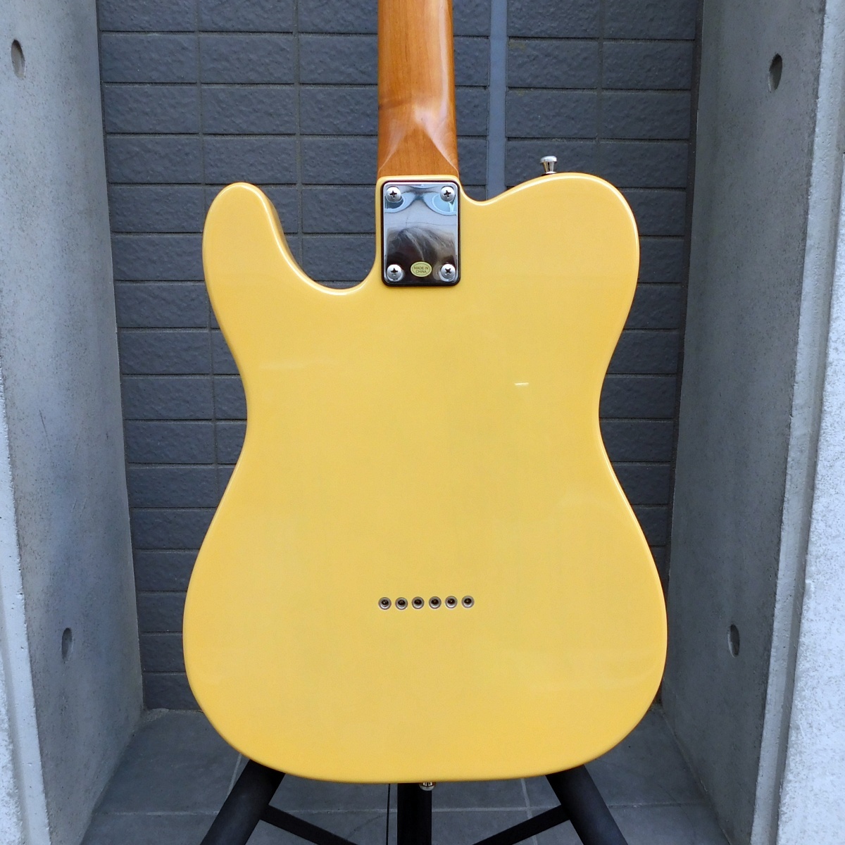 Bacchus BTE-1-RSM/M テレキャスタータイプ（中古）【楽器検索デジマート】