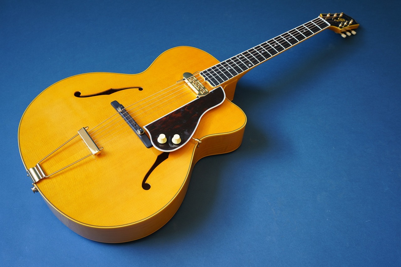 Stringphonic Lang-C w/DeArmond Rhythm Chief 1100（新品/送料