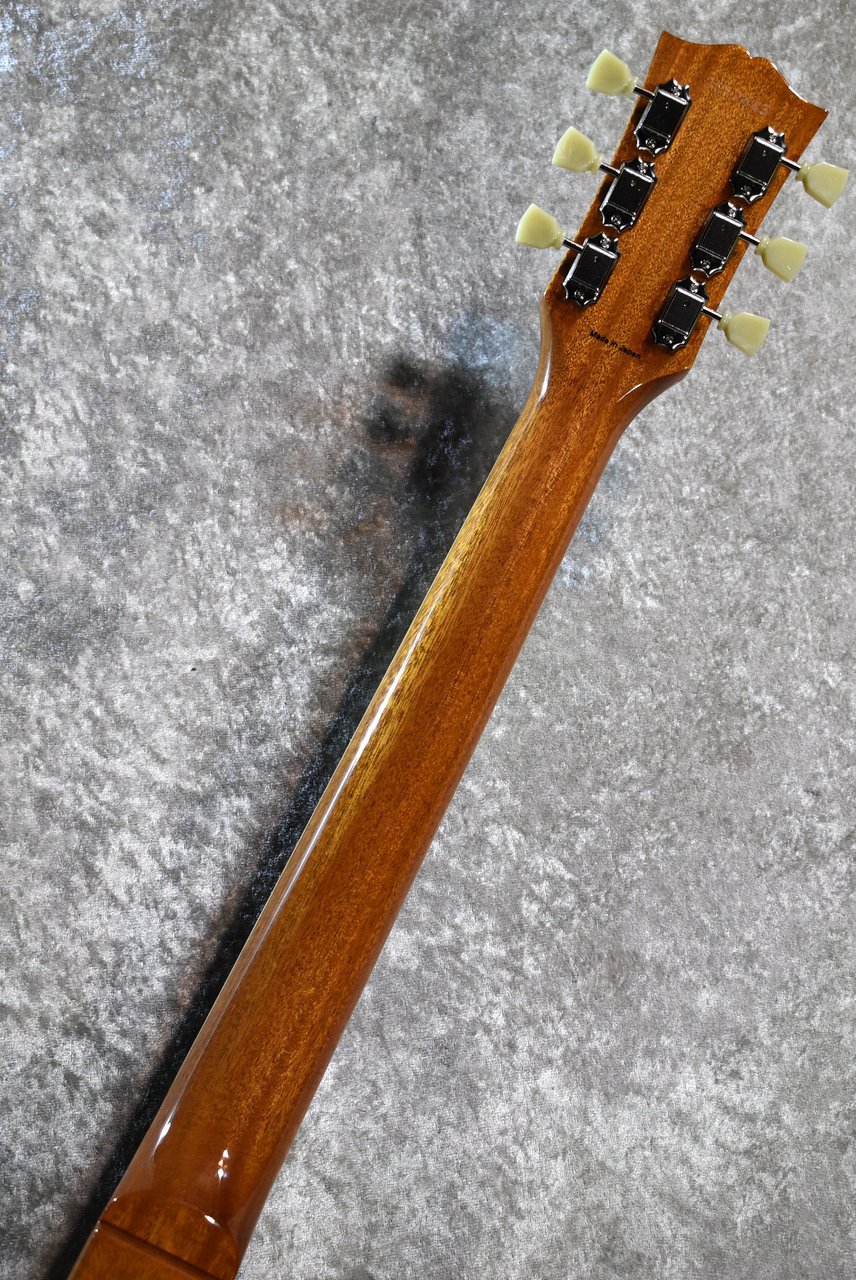 Tokai LS-201S GT #2652443【漆黒指板、軽量4.01kg】（新品）【楽器