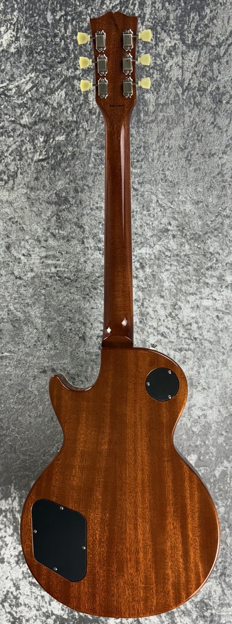 Tokai LS101F CM2 / ZB LD【 Lemon Drop 】s/n2551391【4.35kg