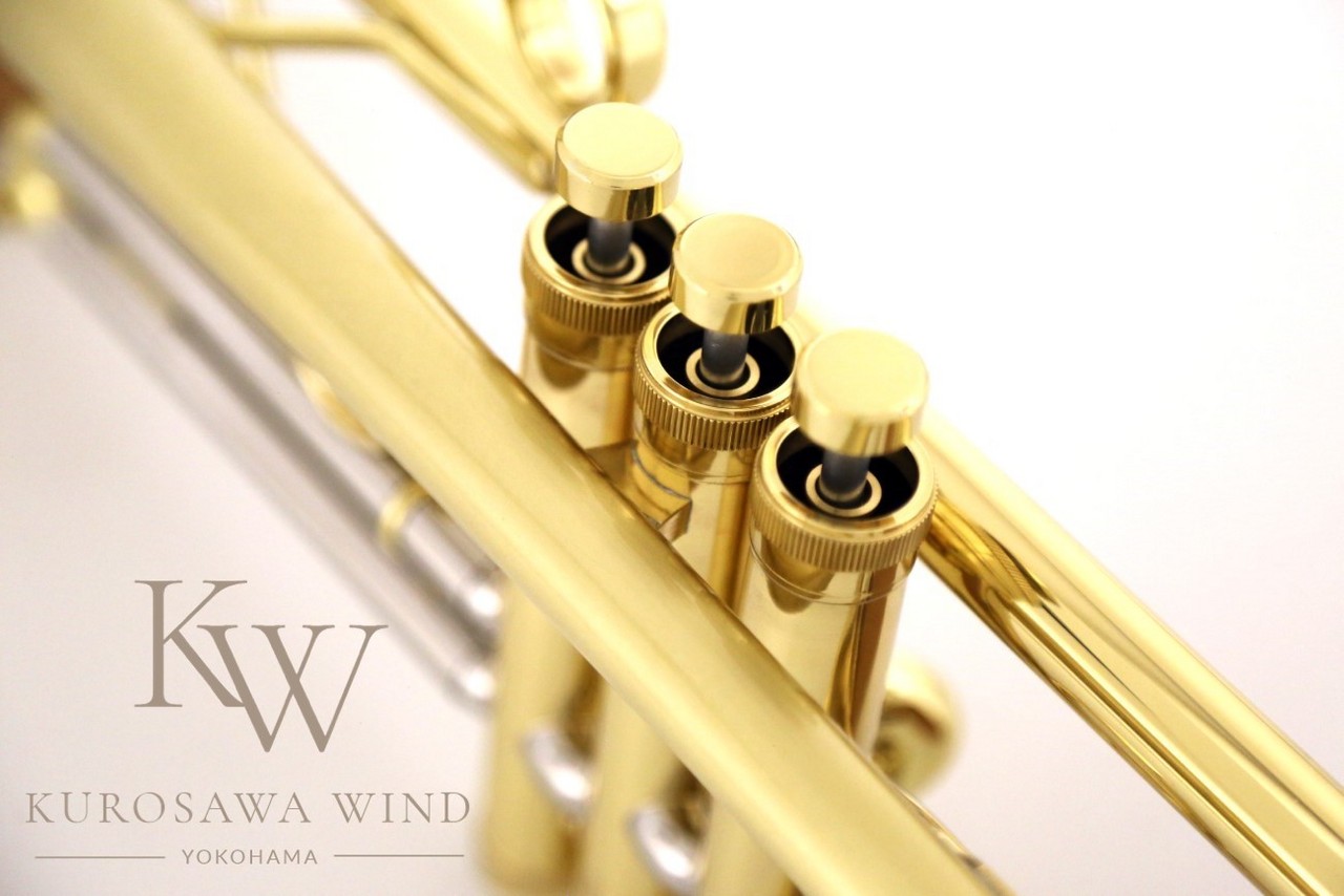 Taylor Chicago 46Ⅱ Standard 【新品/New】【テイラー