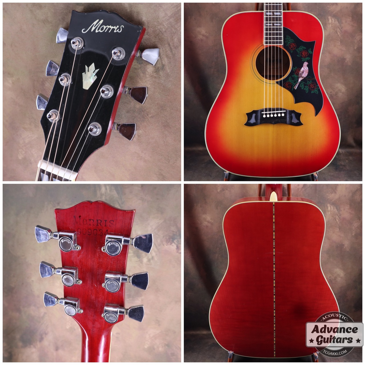 MORRIS WD-35 アコースティック ギター Morris モーリス WD-35 ハミングバード アコースティックギター