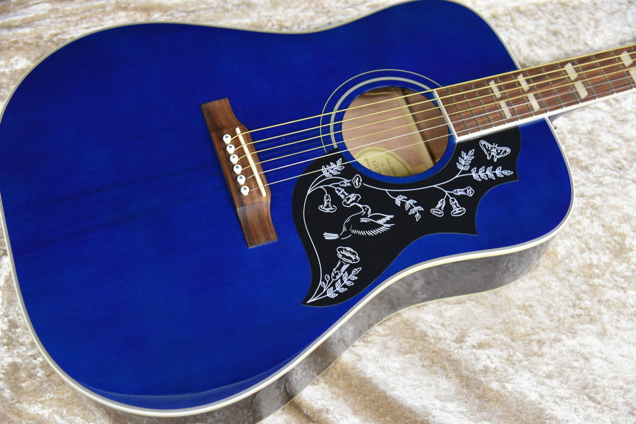 Epiphone Hummingbird PRO BB エレアコ　ネイビー アコースティックギター】Epiphone Hummingbird PRO BB｜島村