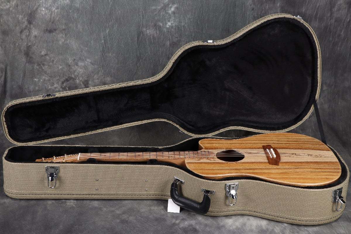 Cole Clark Touring Series CCFL2EC-BLBL All Blackwood コール