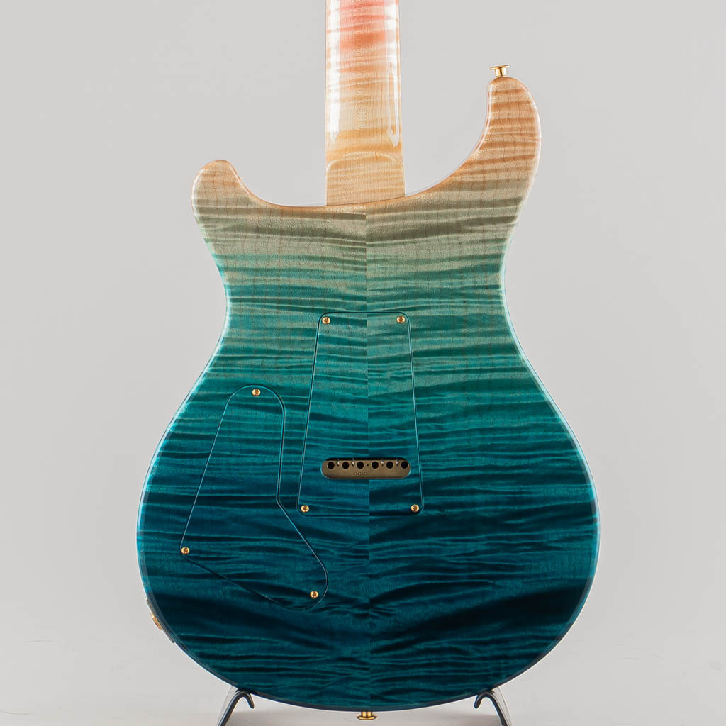 Paul Reed Smith(PRS) Private Stock # 11521 Custom 24/08 Semi