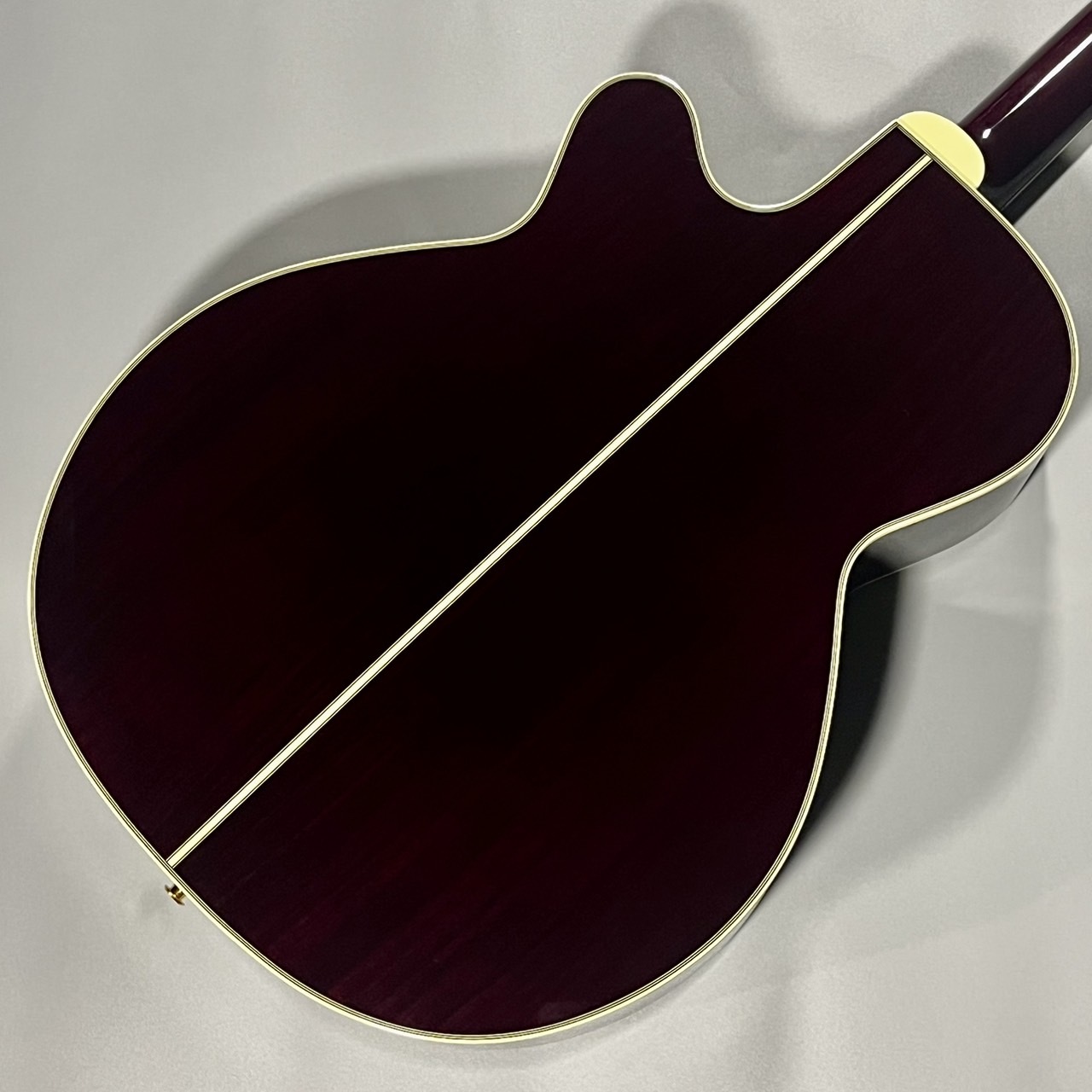 Takamine DMP50S WR エレアコギター セミハードケース付属 【島村楽器 x Takamine  コラボモデル】（新品/送料無料）【楽器検索デジマート】