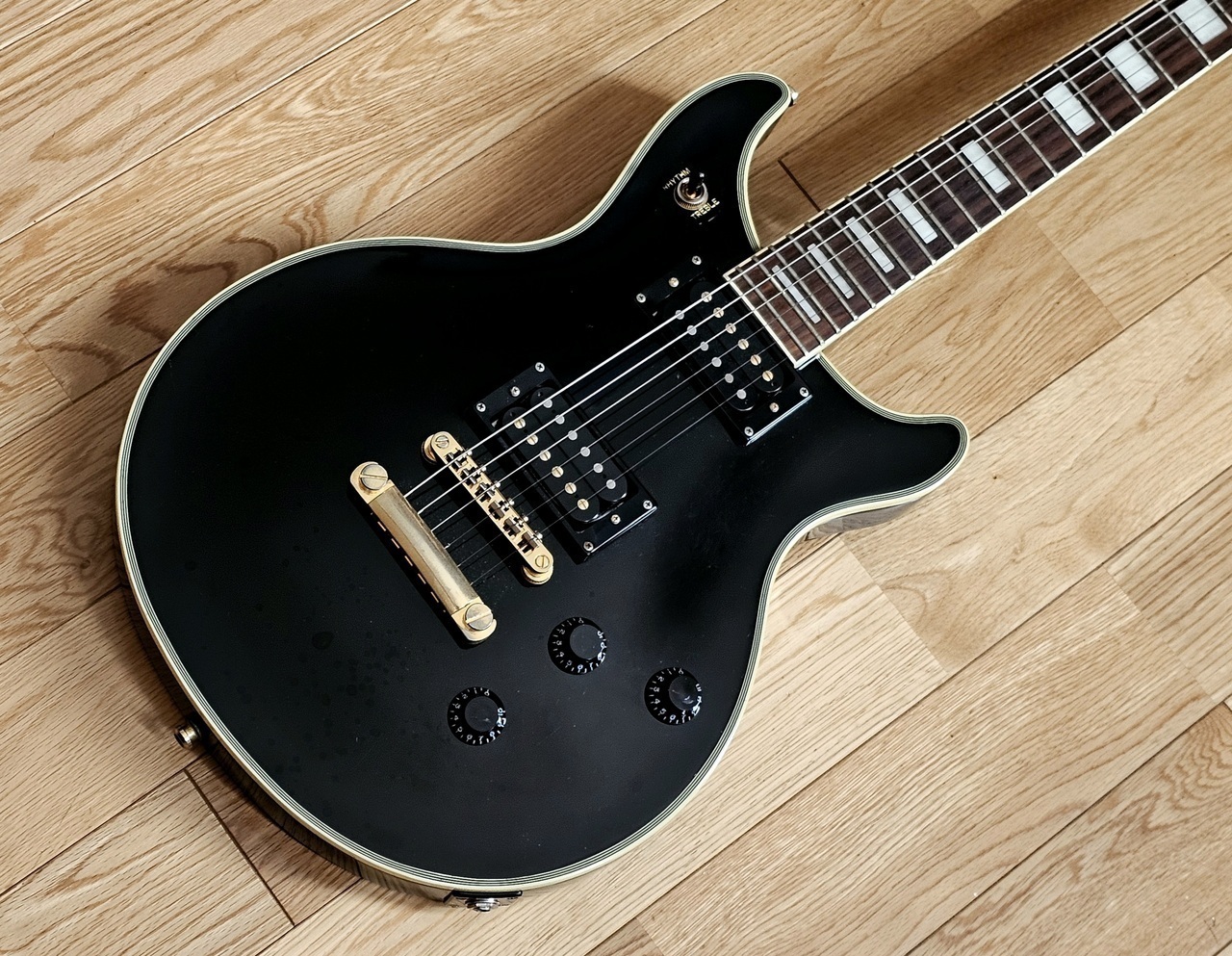 最終価格【美品ワンオーナー】Epiphone Tak DC Custom 楽器・機材