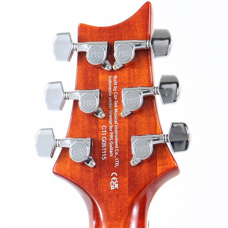 Paul Reed Smith(PRS) SE Custom 24 Semi-Hollow Piezo (Vintage