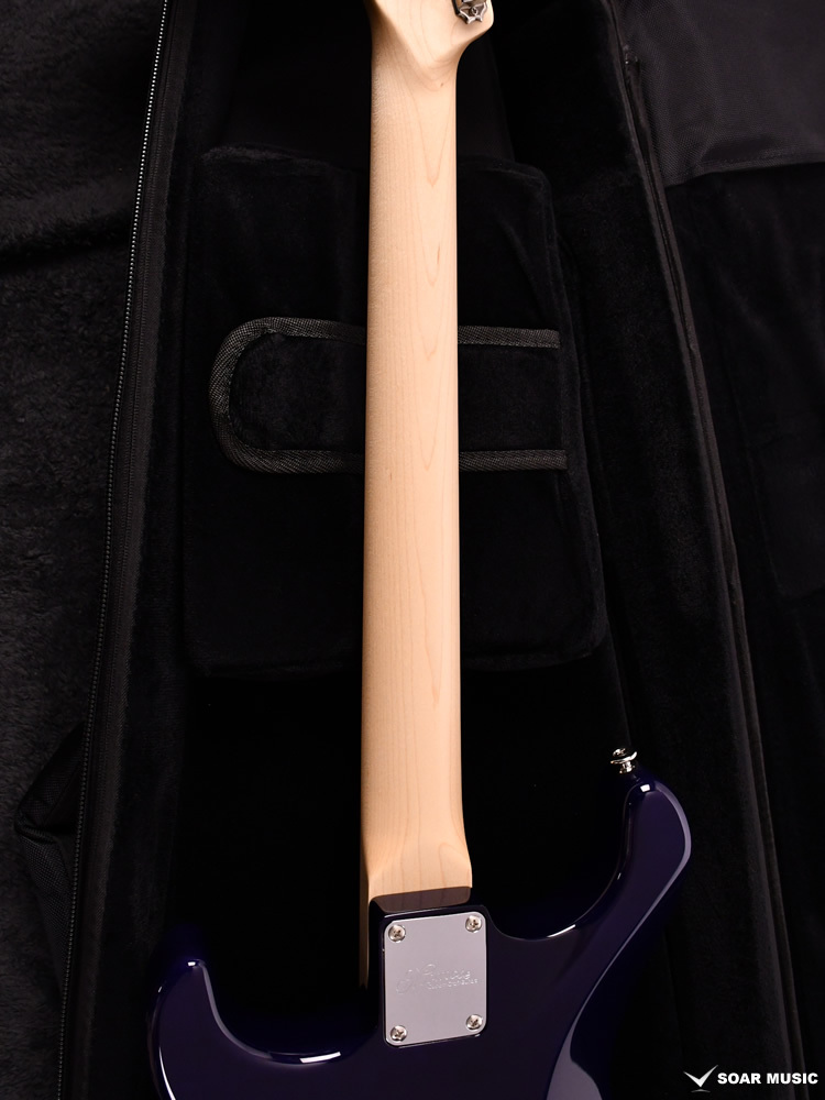 momose MC-TOCHI WSE'24/NJ HYD-BL-B (Hydrangea Blue Burst