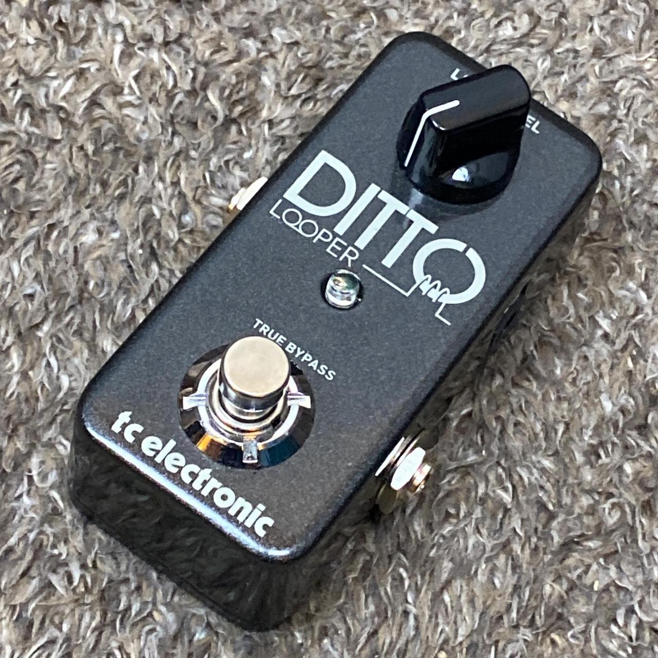tc electronic DITTO LOOPER 中古品 TC Electronic Ditto Looper Pedal - Black for sale online | eBay