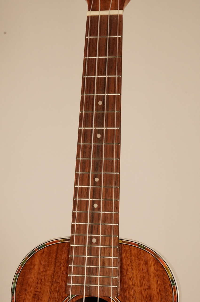 DCT DUC-150K【NEW】（新品）【楽器検索デジマート】