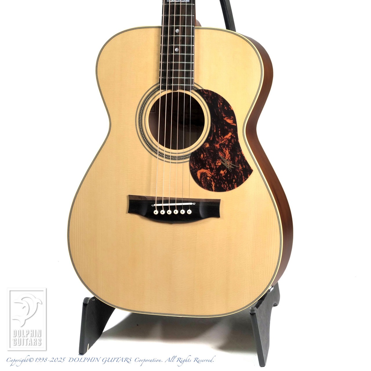 Maton EBG808 TE アコギ美品（ハードケース付き） MATON EBG808TE (Tommy Emmanuel Signature)|ドルフィンギターズ