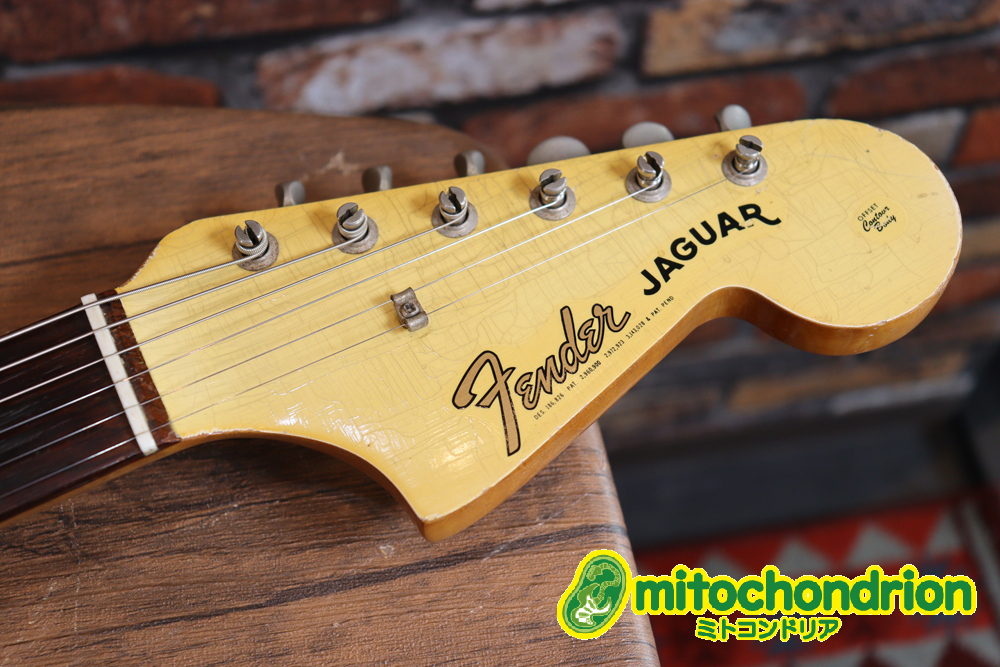 Fender 1965年製 JAGUAR / Olympic White（ビンテージ）【楽器検索 ...