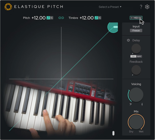 ZPLANE ELASTIQUE PITCH 2（新品/送料無料）【楽器検索デジマート】