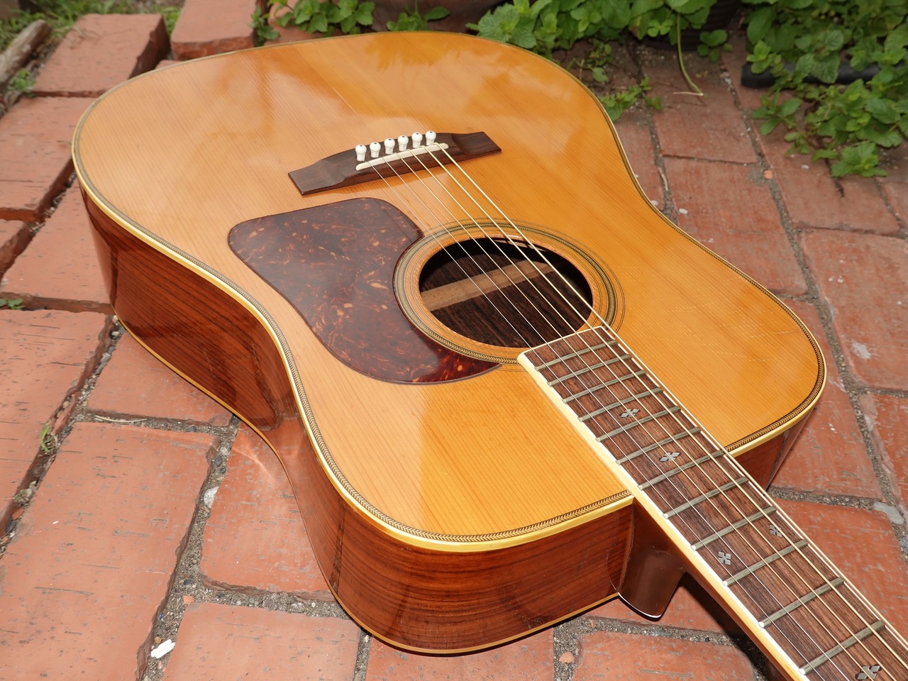 Takamine Elite TW-30（ビンテージ）【楽器検索デジマート】