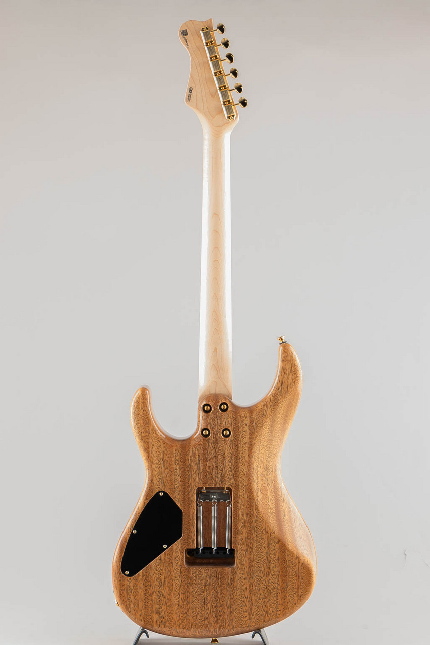 FREEDOM CUSTOM GUITAR RESEARCH C.S. EZa 24F FT / Vintage