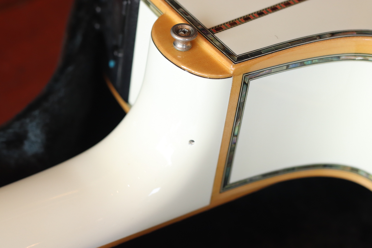 Takamine NPT-155 1994 (Falcon White mod.)（中古/送料無料