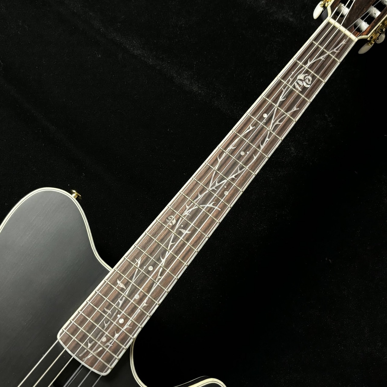 Ibanez TOD10N Tim Henson シグネチャー エレガットギター Ibanez TOD10N TKF エレガット Tim Henson Signature ティム
