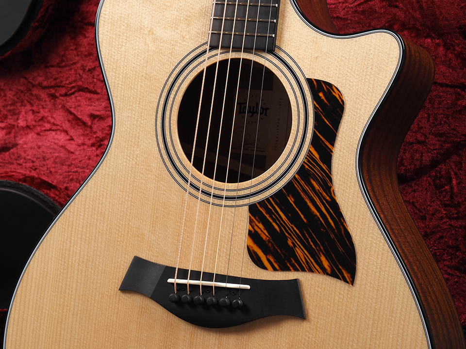 Taylor 312ce V-Class（新品/送料無料）【楽器検索デジマート】