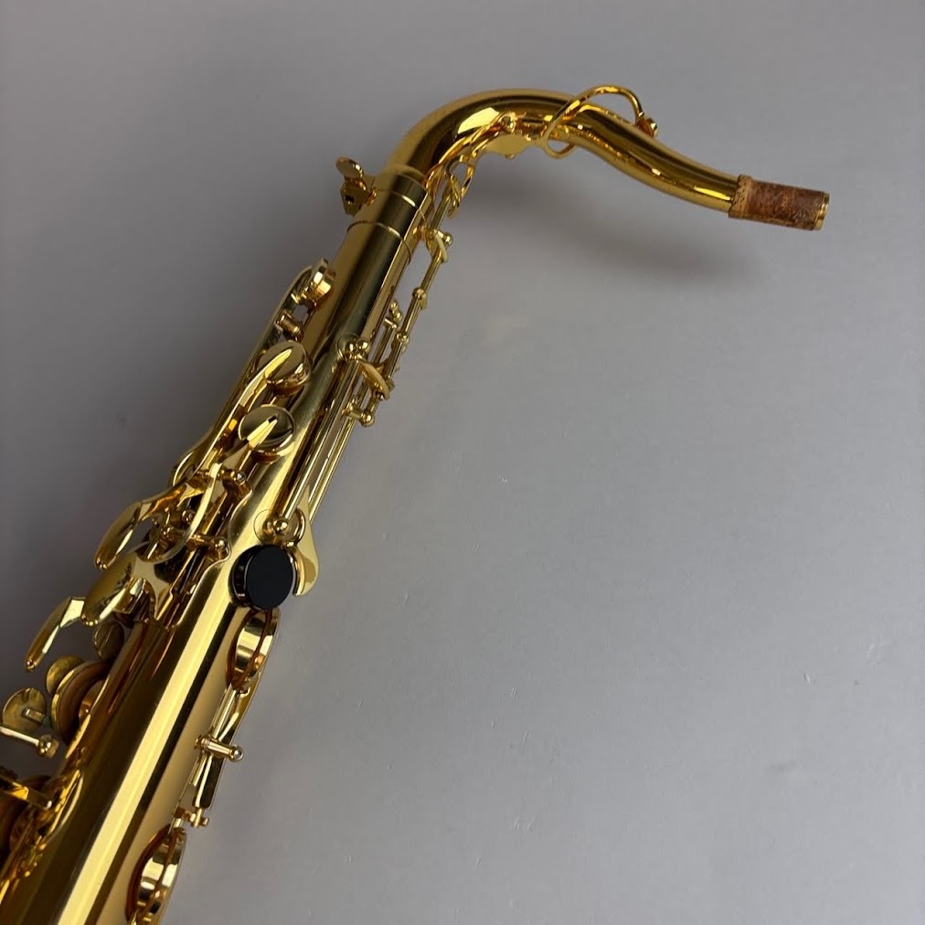 Sylphide T-2000（中古/送料無料）【楽器検索デジマート】