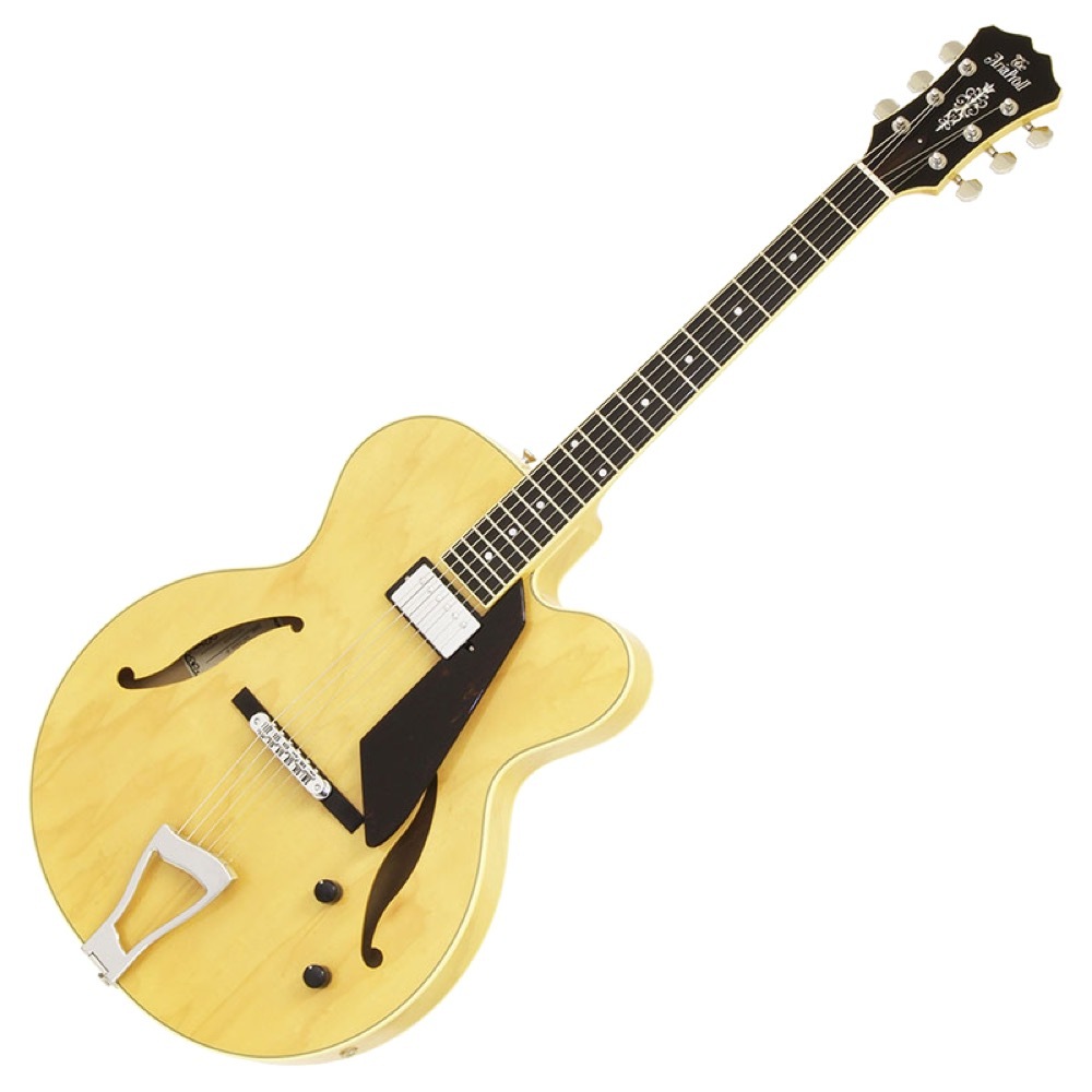 AriaProII アリアプロギター ハードケース付き AriaProII アリアプロギター ハードケース付き 【公式通販】