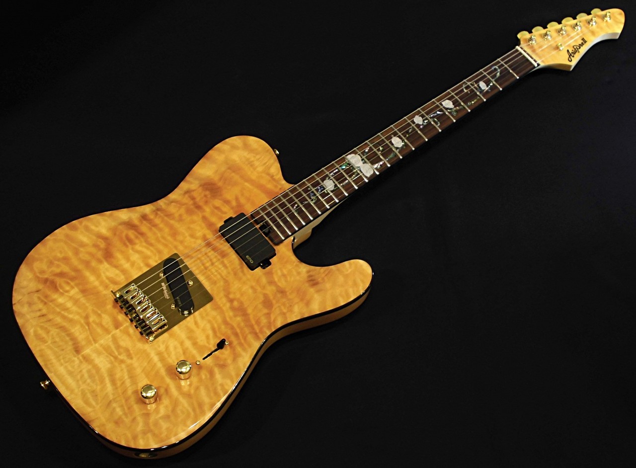 Aria Pro II TEG-780 / Natural【アウトレット特価 !! 】（B級特価