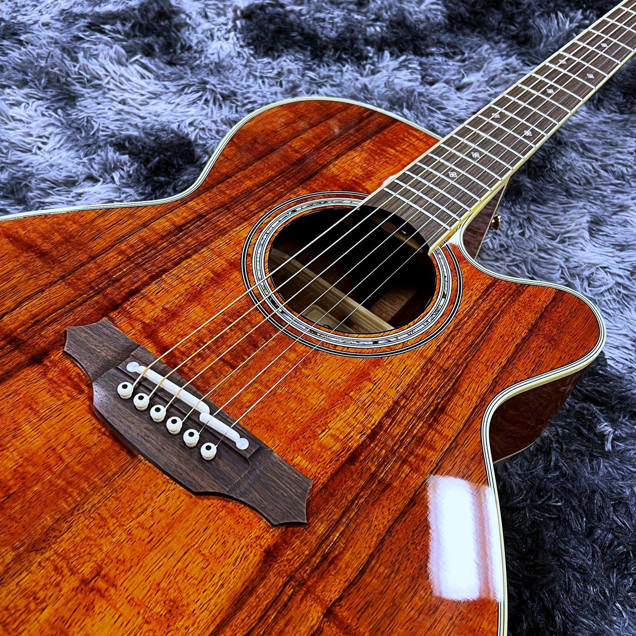 Takamine FPT531KC N 【2025年製】【日本製】【エレアコ】【ワイルドな