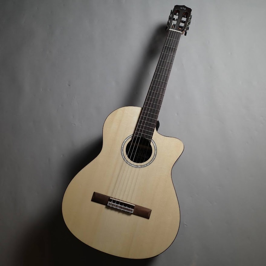 Cordoba エレガットギター Fusion 5 ほぼ未使用！