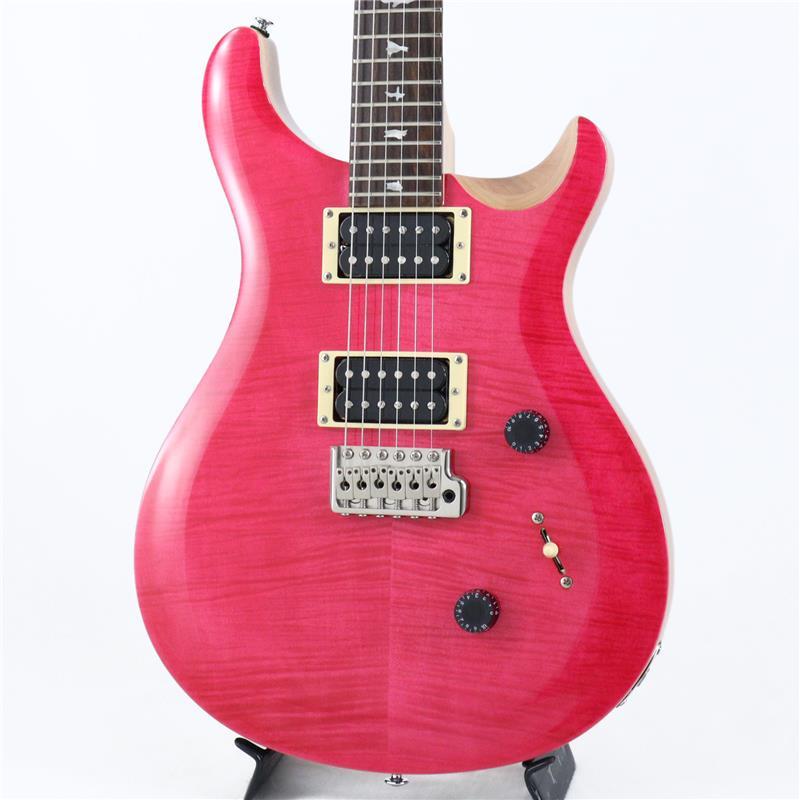 Paul Reed Smith(PRS) USED 中古 SE CUSTOM24 Bird Inlay