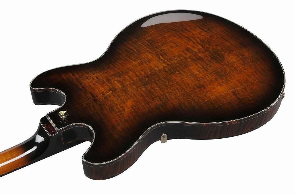 Ibanez ASH300-TBC (Tobacco Brown) アイバニーズ フルアコ（新品/送料