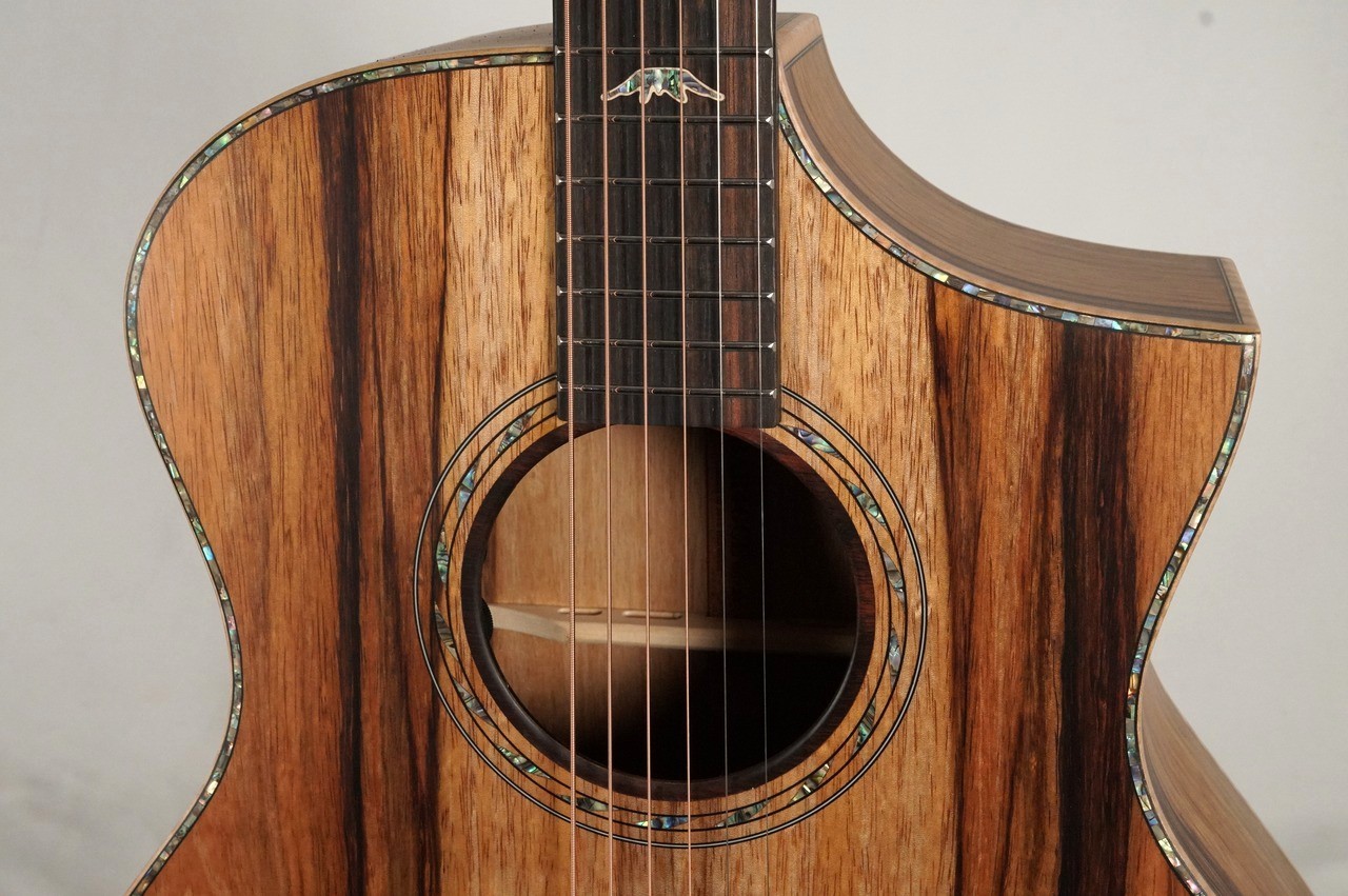 Bromo Guitars BAR4GCE【マンゴーボディ!】【オール単板】（新品