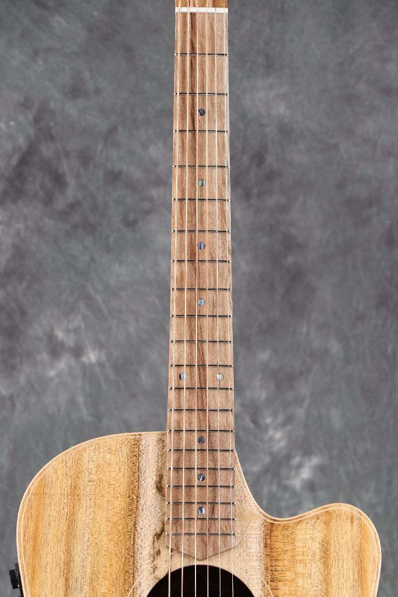 Cole Clark Touring Series CCFL2EC-BLBL All Blackwood コール