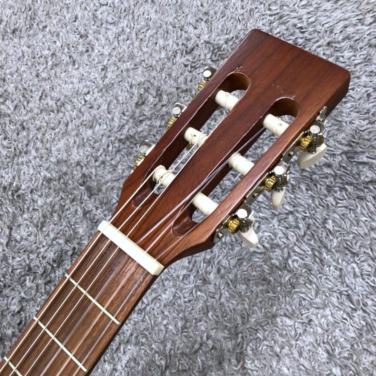 ARIA ASA-18C -Parlor Style-（新品/送料無料）【楽器検索デジマート】