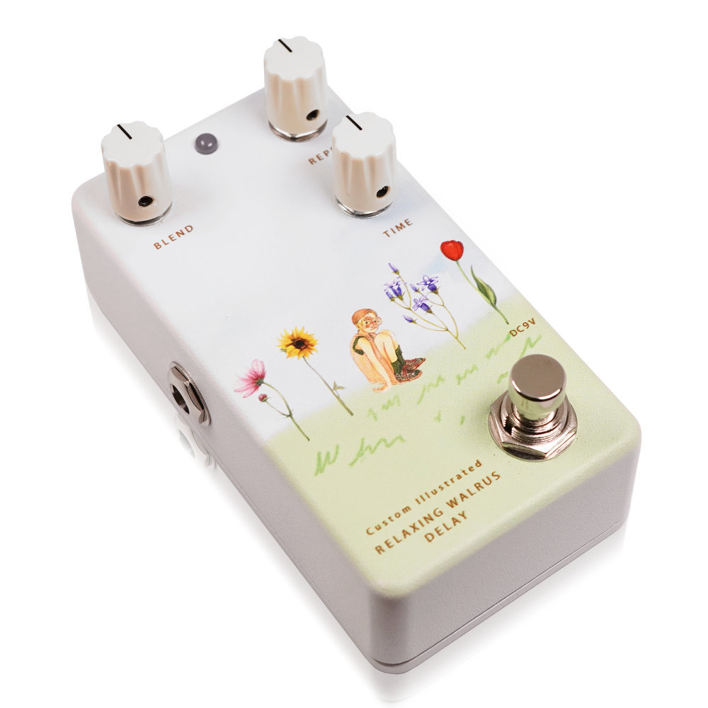 Animals Pedal アニマルズペダル Custom Illustrated RWD yung kai 03