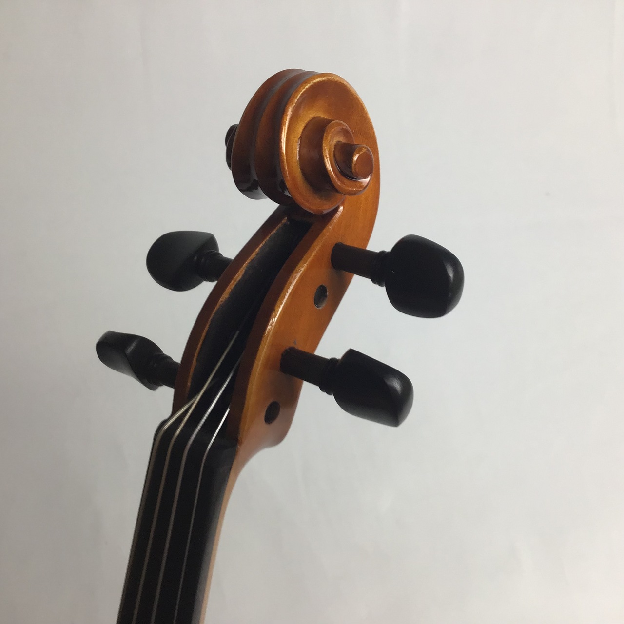 Eastman Eastman(イーストマン) SVL80セット 1/4【送料無料 Eastman Eastman(イーストマン) SVL80セット 1/4【送料無料