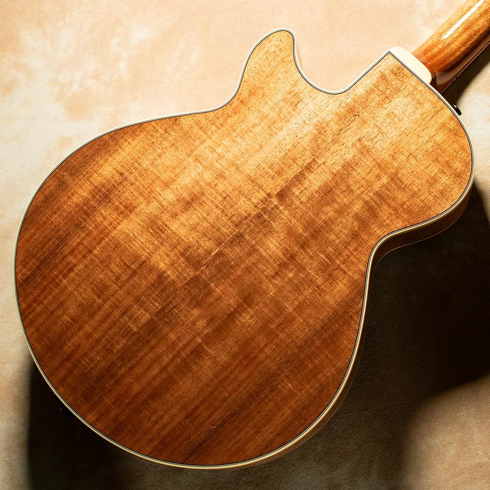 Kikuchi Guitars Archtop JF15 Ltd Exotic Blackwood（新品）【楽器