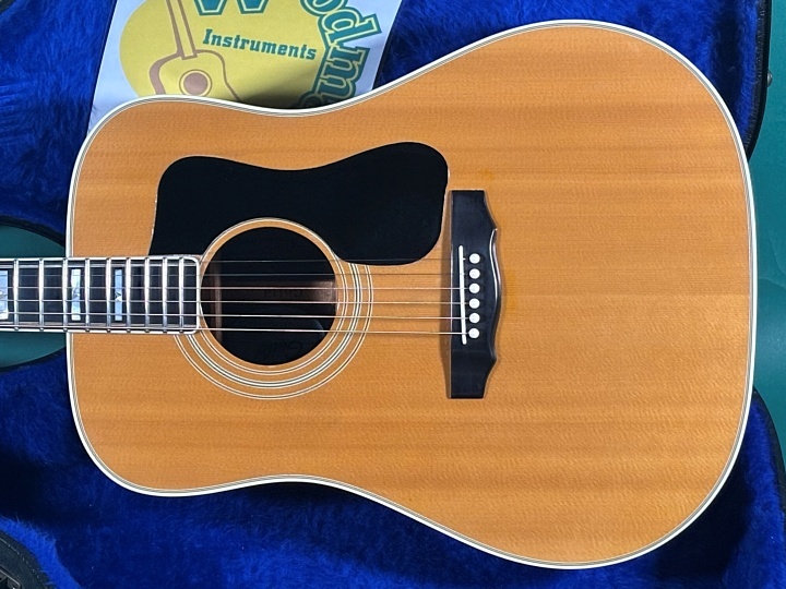 GUILD D-55 NT（ビンテージ）【楽器検索デジマート】