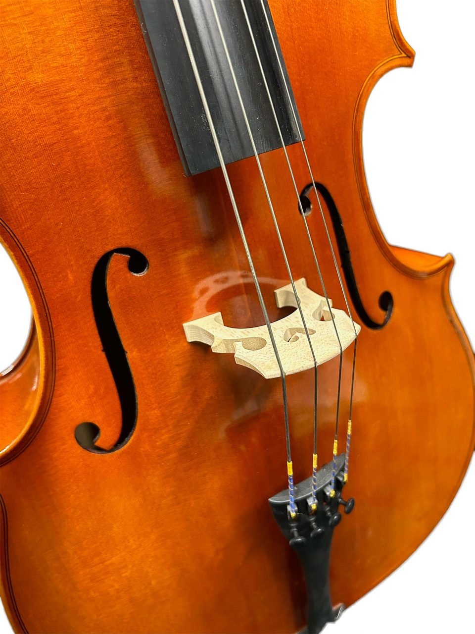 【調整品】EASTMAN VC100 4/4 2002年製 チェロ Eastman VC100 [1/4サイズ] 分数チェロセット イーストマン