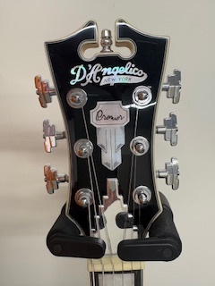 D'Angelico Premier Brighton Sky Blue Top, Natural Mahogany Back