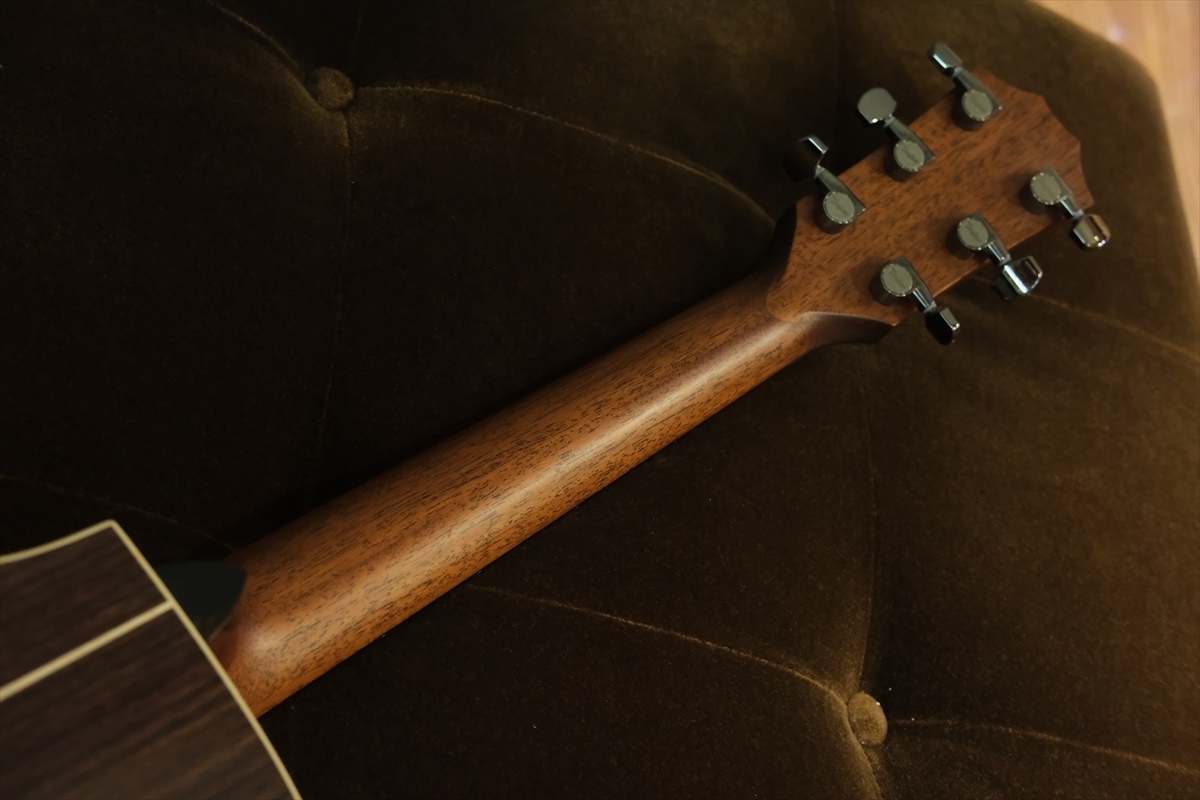 Taylor 814ce J-Spec 【日本限定仕様】【ナット幅細め】（新品/送料