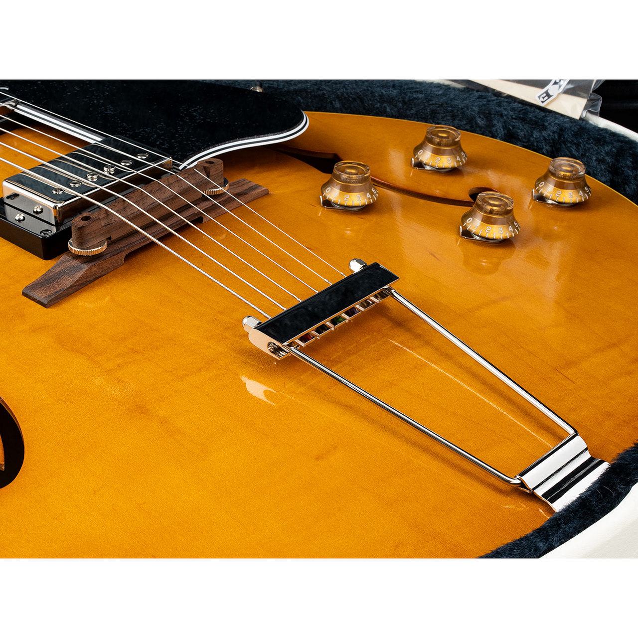 KING SNAKE Curtis/H DEEP Body/Amber Natural（新品）［デジマート