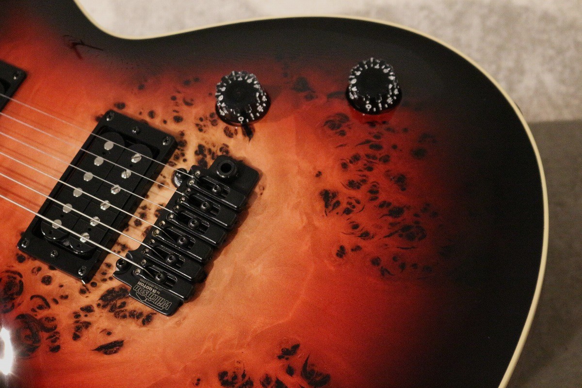 ギター T's Guitars Vena24 Nether Red T's Guitars on X: 