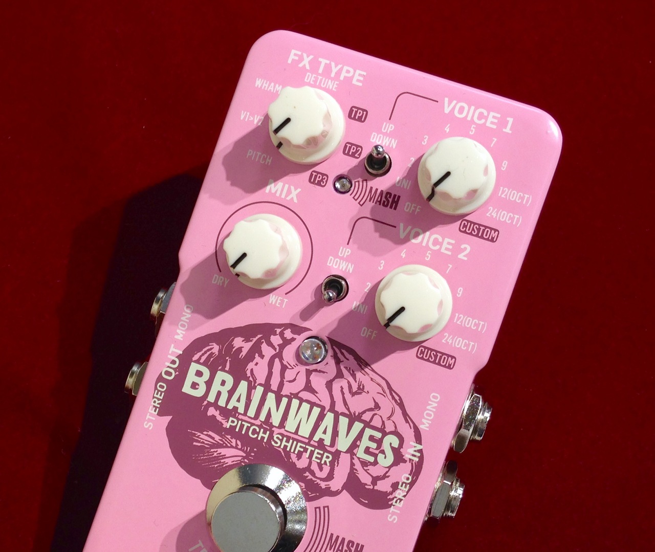 tc electronic BRAINWAVES 【正規輸入品】（新品/送料無料）【楽器検索