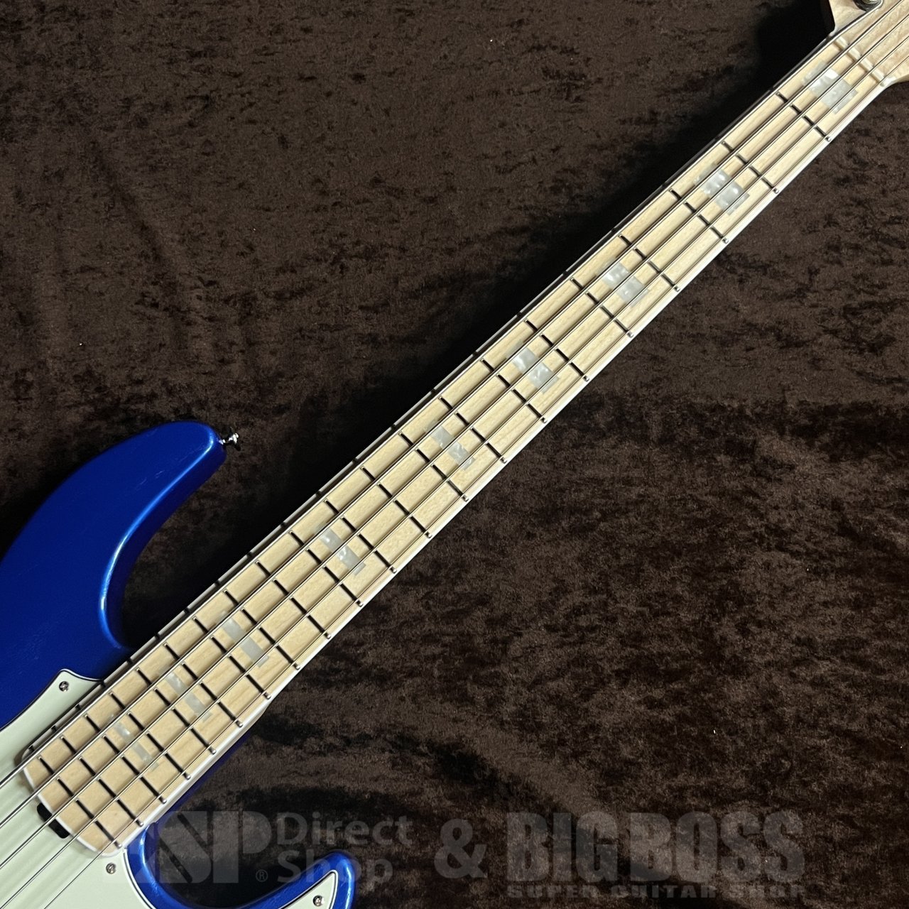 EDWARDS E-AMAZE-AS-5/M【Solid Metallic Blue】（新品/送料無料