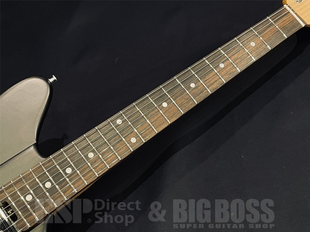 EDWARDS KARMASTER / See Thru Black 【9mm Parabellum Bullet 滝 善充